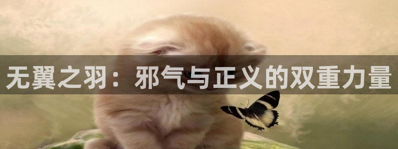 耽漫新新漫画：无翼之羽：邪气与正义的双重力量