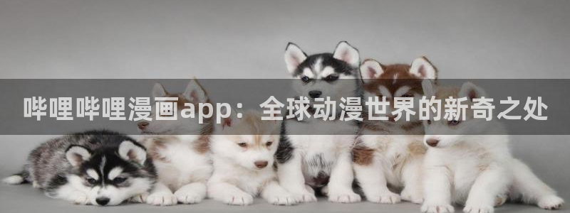 新新漫画在哪下载：哔哩哔哩漫画app：全球动漫世界的新奇之处