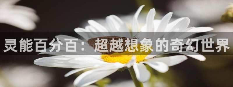 新新漫画旧版本：灵能百分百：超越想象的奇幻世界