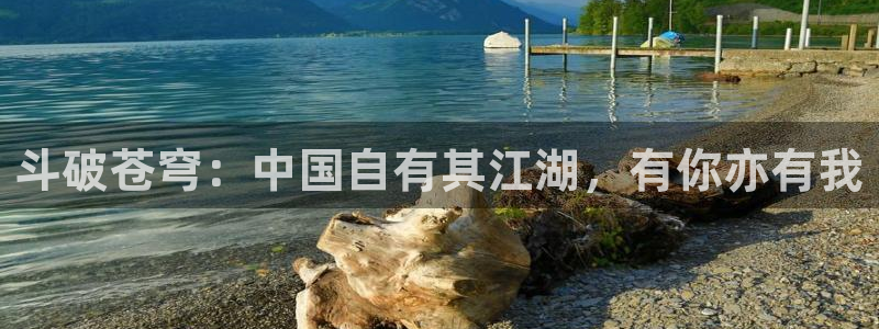新新动漫：斗破苍穹：中国自有其江湖，有你亦有我