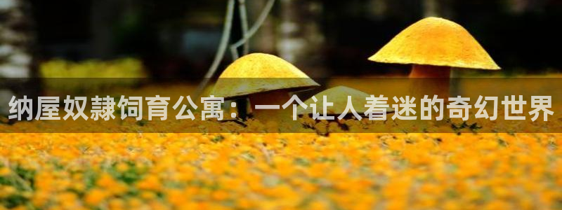 新新漫画下载安装