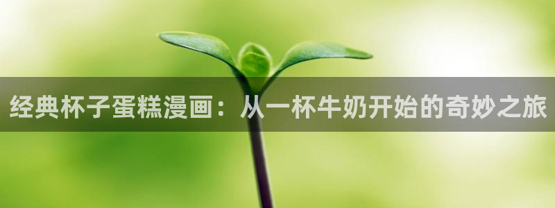 新新漫画正版app下载