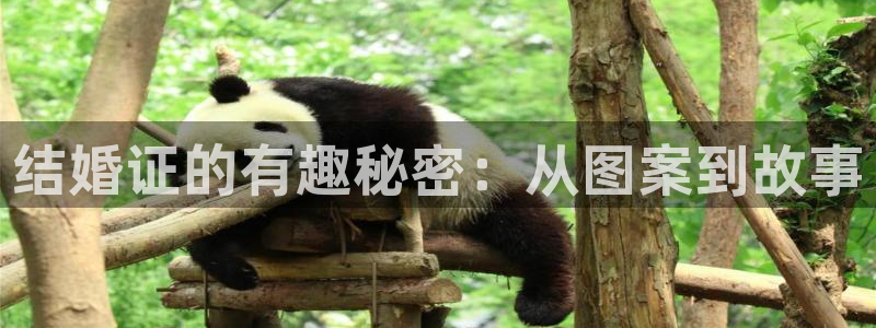 新新漫画怎么下载