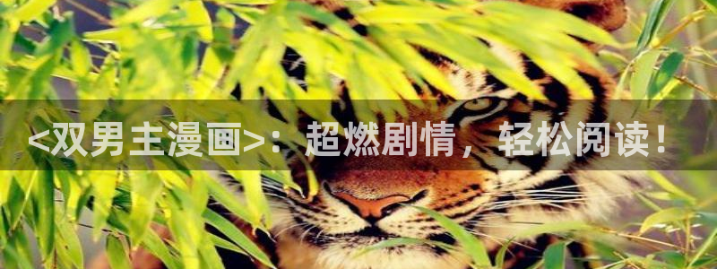 新新 漫画
