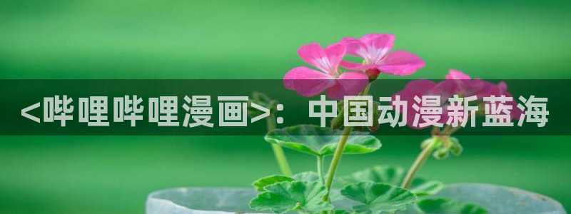 新新漫画网页