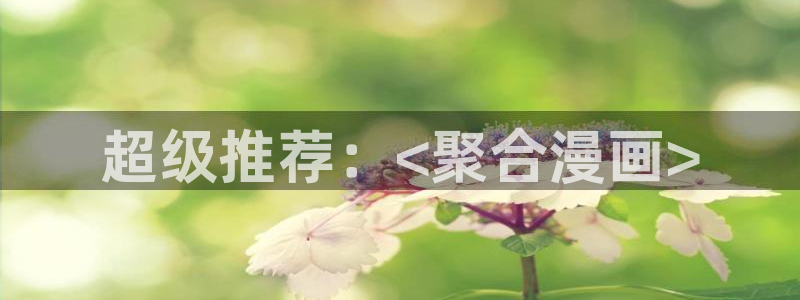 bl漫画新新：超级推荐：<聚合漫画>