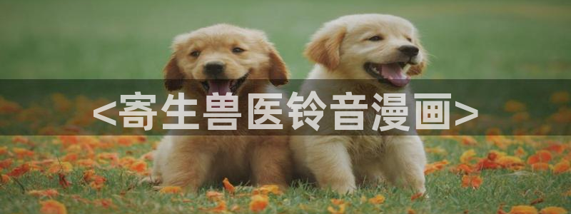 在线观看新新漫画：<寄生兽医铃音漫画>