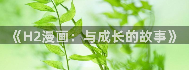 新新漫画鸣鸟不飞