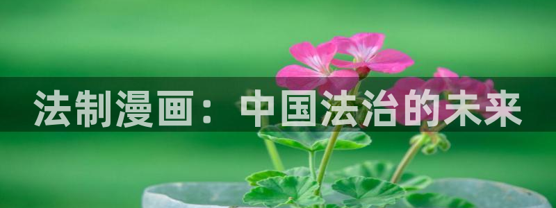 新新漫画世界第一初恋
