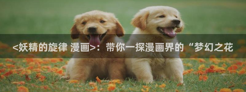 新新漫画官网网页版
