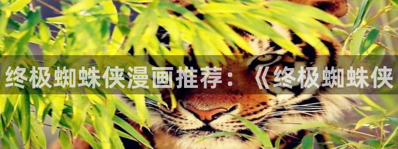 纯情罗曼史新新漫画