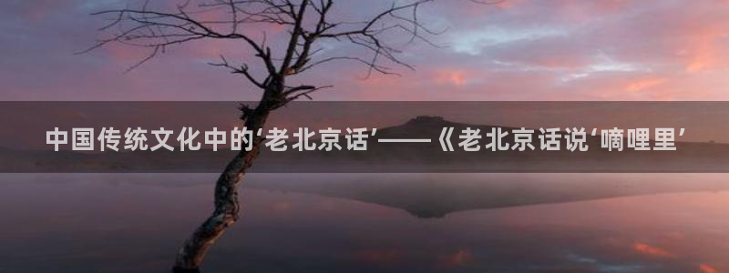 新新漫画手机